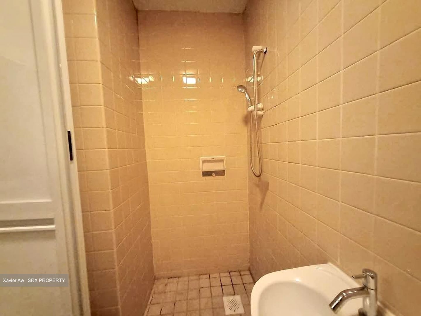 The Cairnhill (D9), Condominium #555566461
